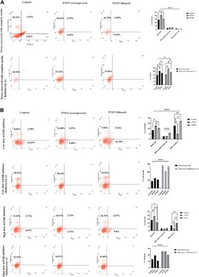 Endogenous PTEN acts as the key determinant for mTOR inhibitor sensitivity by inducing the stress-sensitized PTEN-mediated death axis in KSHV-associated malignant cells